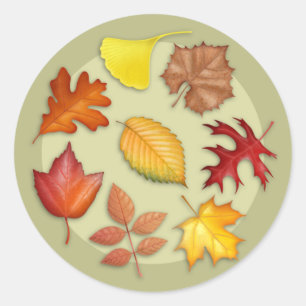 Autumn Leaves Round Sticker