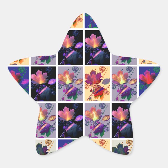 Autumn Leaves Rustic Patchwork Quilt Collage Star Sticker (Front)