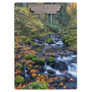 Autumn Leaves Scattered Along Gorton Creek Clipboard