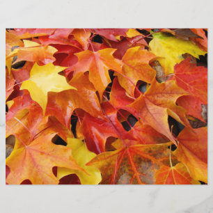 Autumn Leaves Scrapbooking paper Fall Leaves