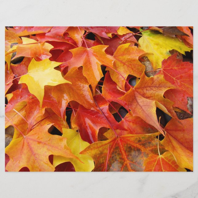 Autumn Leaves Scrapbooking paper Fall Leaves (Front)