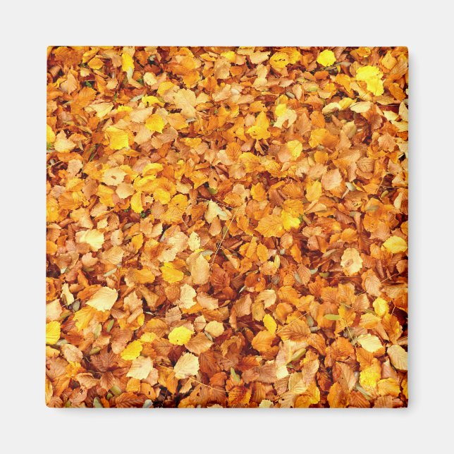 Autumn Leaves Square Magnet (Front)