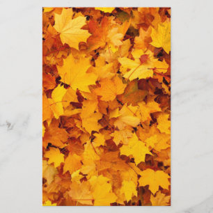 Autumn Leaves Stationery