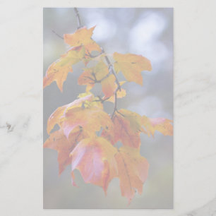 Autumn Leaves Stationery