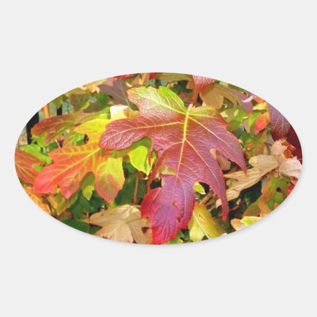'Autumn Leaves' Stickers (Front)