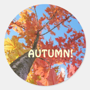 Autumn Leaves stickers custom Fall Leaves