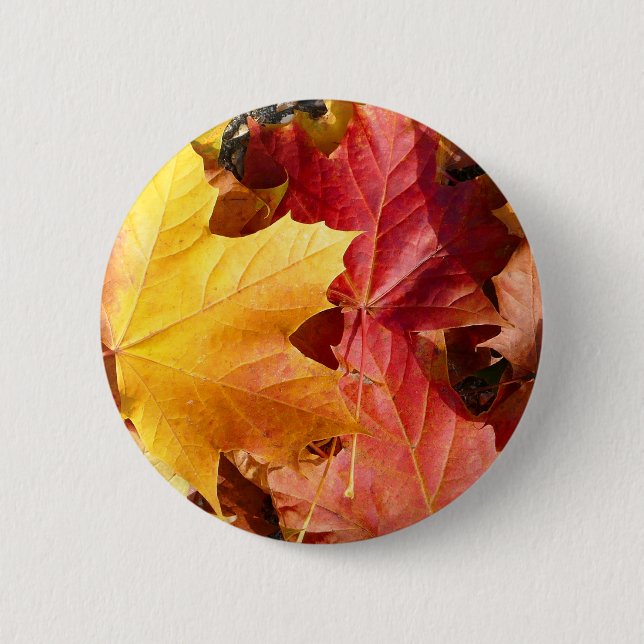 Autumn leaves - Stunning! 6 Cm Round Badge (Front)