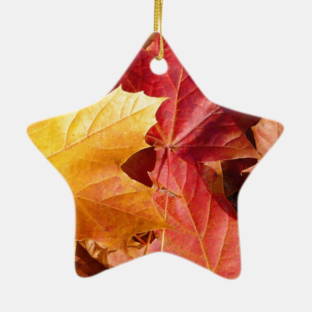 Autumn leaves - Stunning! Ceramic Tree Decoration (Back)