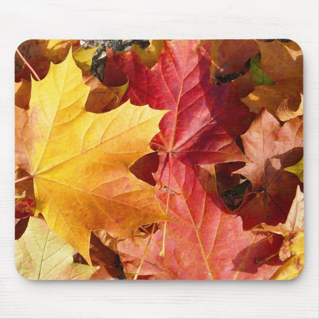 Autumn leaves - Stunning! Mouse Mat (Front)