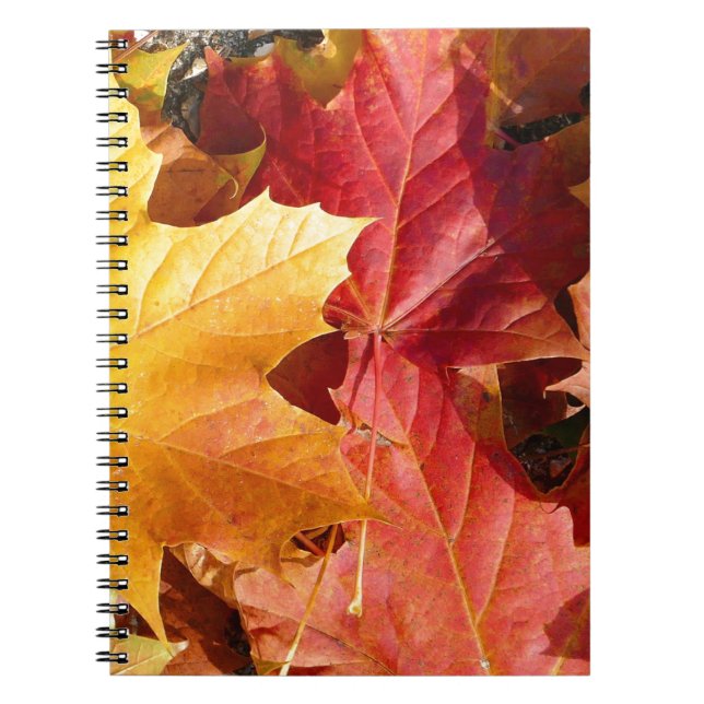 Autumn leaves - Stunning! Notebook (Front)