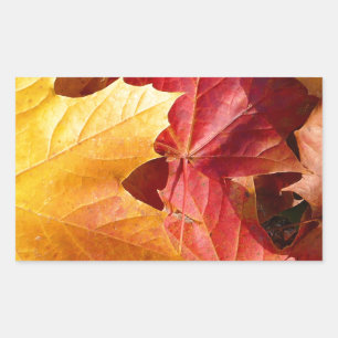 Autumn leaves - Stunning! Rectangular Sticker