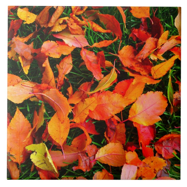 Autumn Leaves Tile (Front)