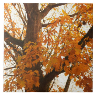Autumn Leaves Tile