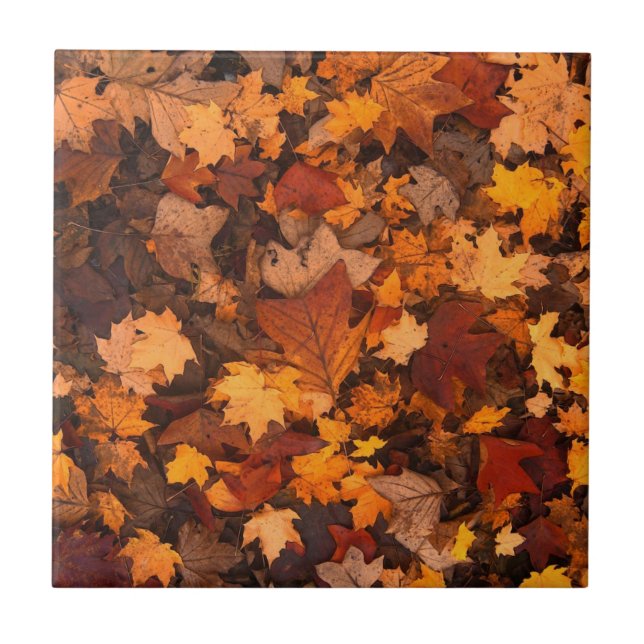 Autumn Leaves Tile (Front)
