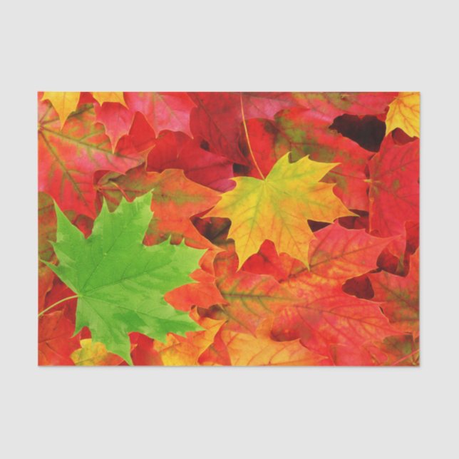 Autumn Leaves Tissue Paper (Front)