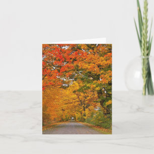Autumn Leaves Trees Card