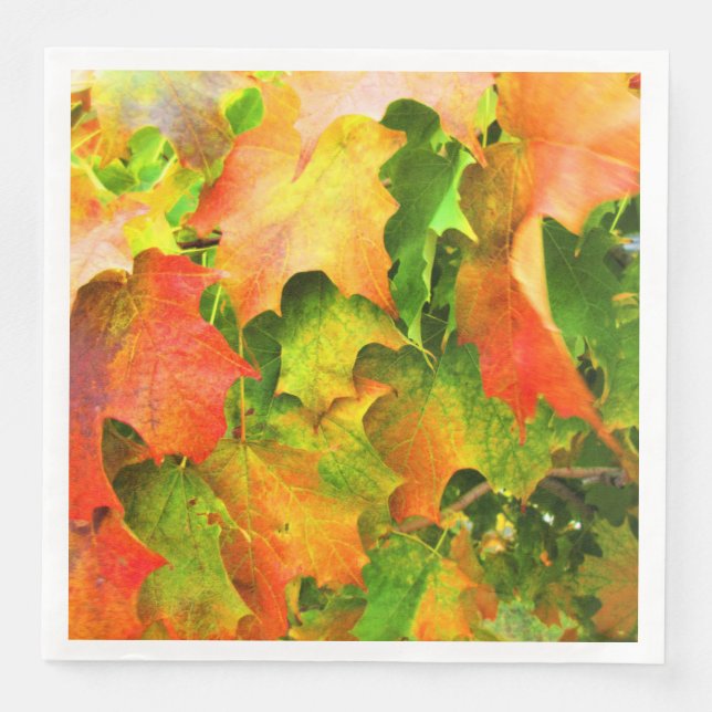 Autumn Leaves Turning Fall Colours Orange Gold Red Napkin (Front)
