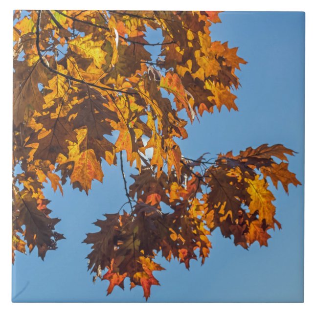 Autumn leaves view ceramic tile (Front)