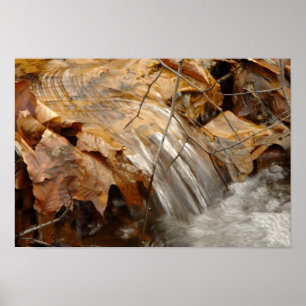 Autumn leaves waterfall Poster