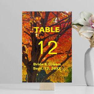 Autumn Leaves Wedding Table Card