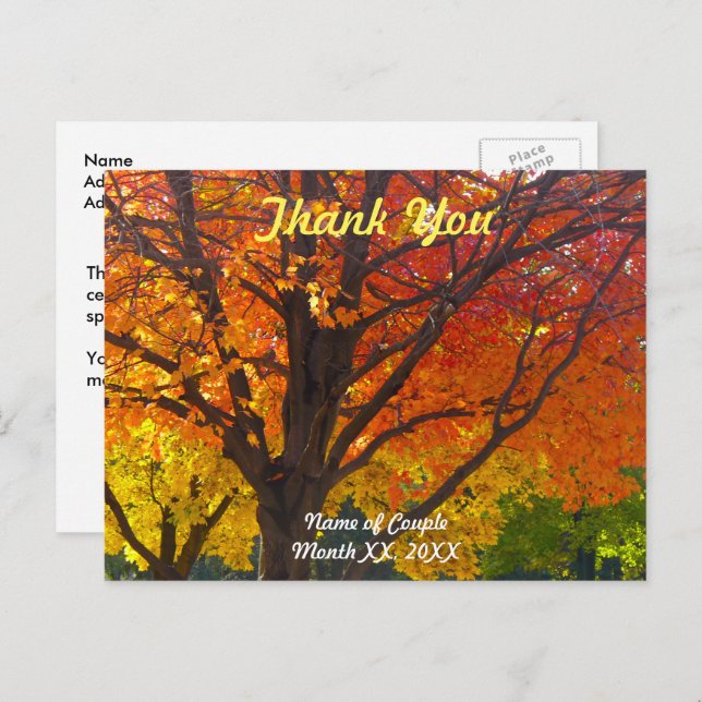 Autumn Leaves Wedding Thank You Postcard (Front/Back)