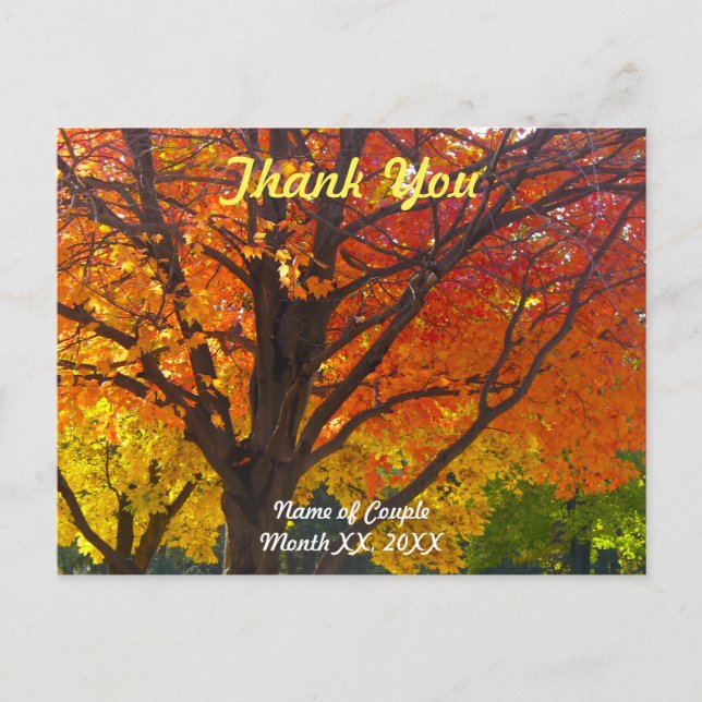 Autumn Leaves Wedding Thank You Postcard (Front)