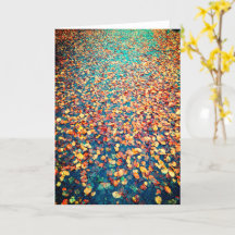 Autumn Leaves Wet Forest Path