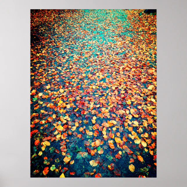 Autumn Leaves Wet Forest Path Poster | Zazzle