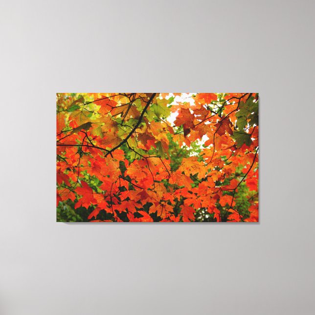 Autumn Leaves Wrapped Canvas (Front)