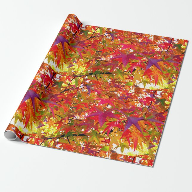 Autumn Leaves Wrapping Paper (Unrolled)