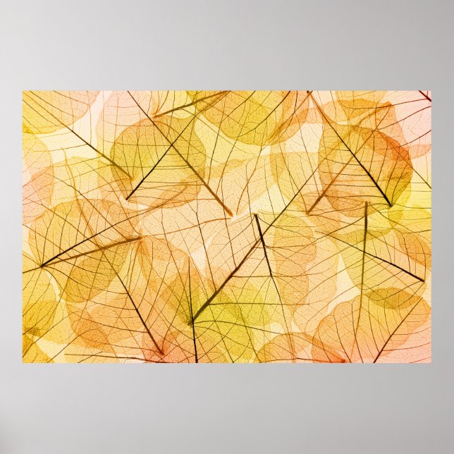 Autumn Leaves yellow and orange Background - trans Poster (Front)