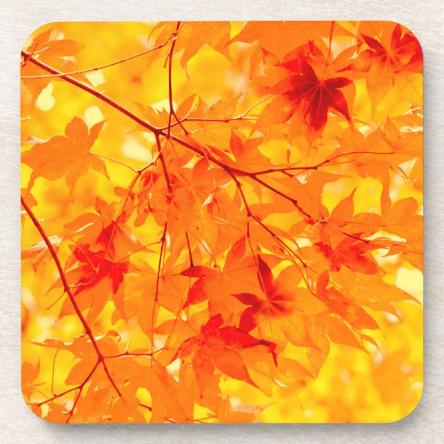 Autumn Leaves Yellow Fall Colour Nature Coaster (Front)