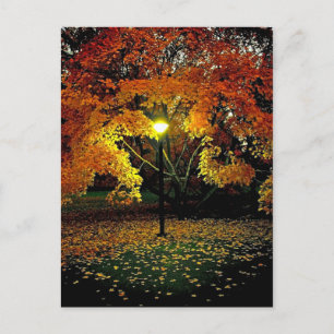 Autumn light postcard