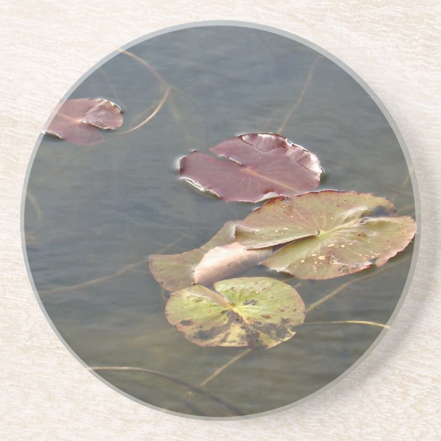 Autumn Lilypads Series Coaster (Front)
