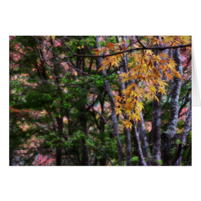 Autumn Love Card (Front Horizontal)