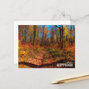 Autumn Magic Forest Postcard