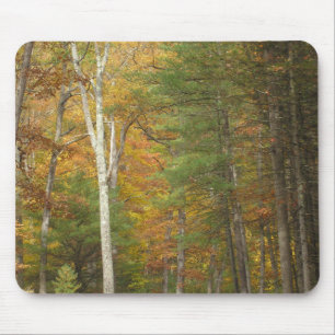 "Autumn Magic" Mouse Mat