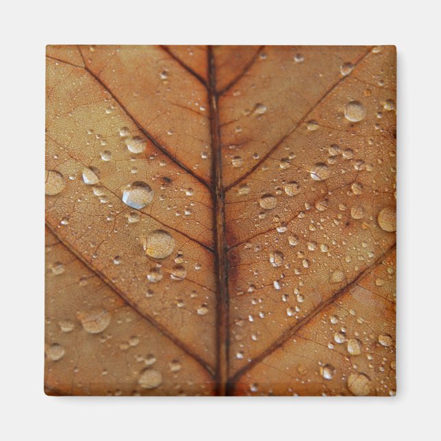 Autumn Magnet (Front)