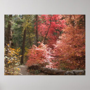 Autumn Majesty (3) Poster