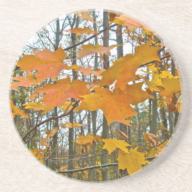 Autumn Maple Foliage Coaster (Front)
