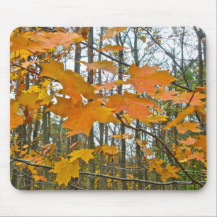 Autumn Maple Foliage Mouse Mat