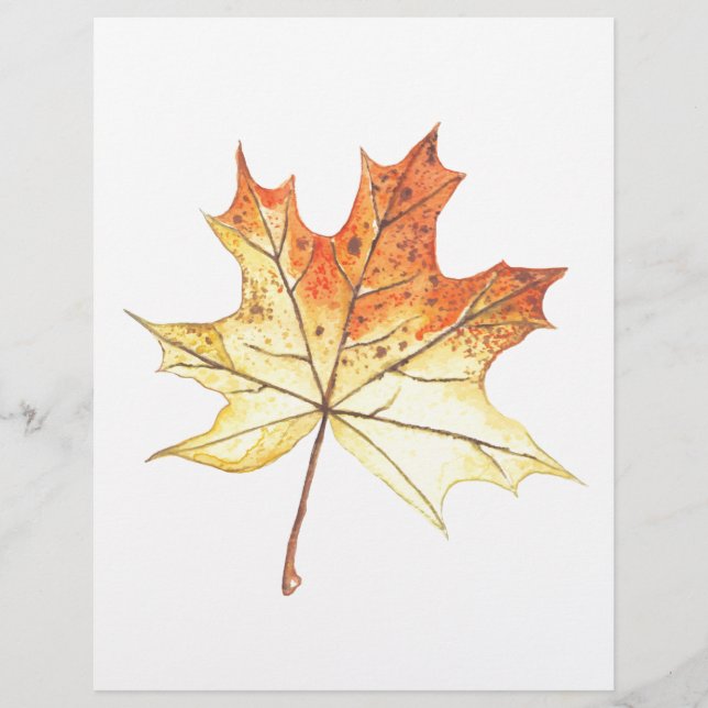 Autumn maple leaf (Front)