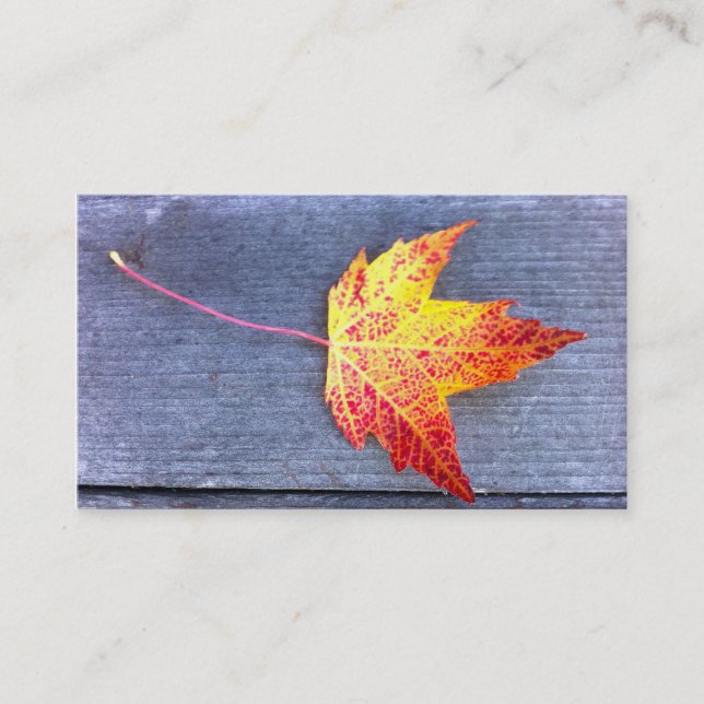 Autumn Maple Leaf Business Card (Front)