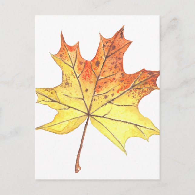 Autumn maple leaf postcard (Front)