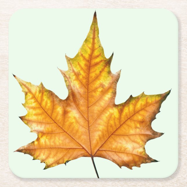 Autumn maple leaf square paper coaster (Front)