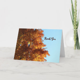Autumn Maple Leaves Card