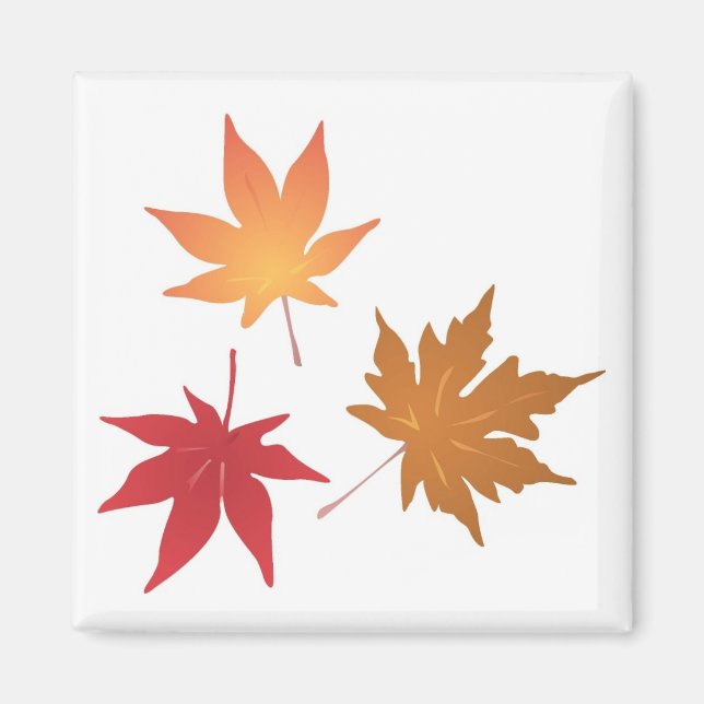 Autumn Maple Leaves Collection Magnet (Front)