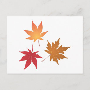 Autumn Maple Leaves Collection Postcard