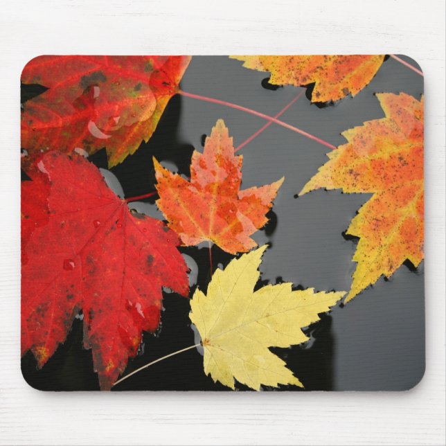 Autumn Maple Leaves colours red  pond Mousepad (Front)