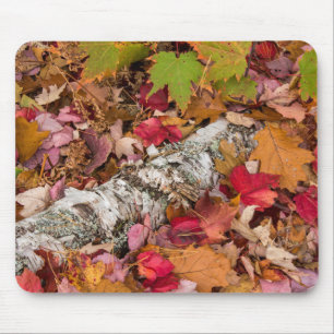 Autumn Maple Leaves Cover Birch Bark On Forest Mouse Mat